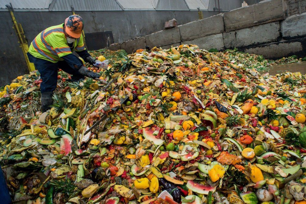 food waste